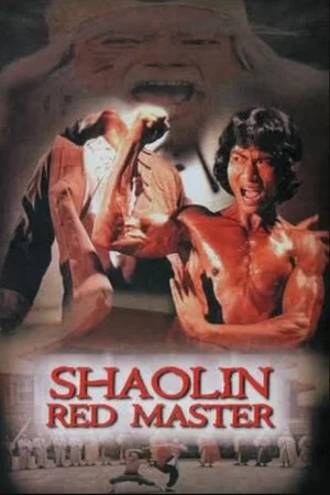 Постер: Shaolin Tough Kid