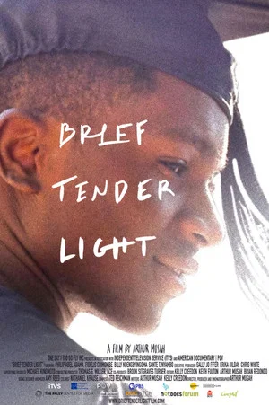 Постер: Brief Tender Light