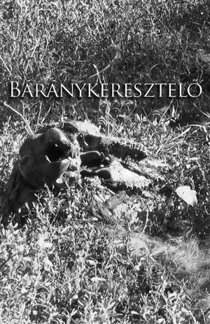 Постер: Naming of a Sheep
