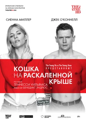 Постер: Кошка на раскалённой крыше