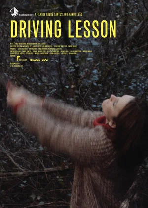 Постер: Driving Lesson