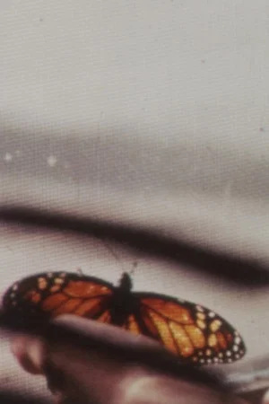 Постер: The Butterfly