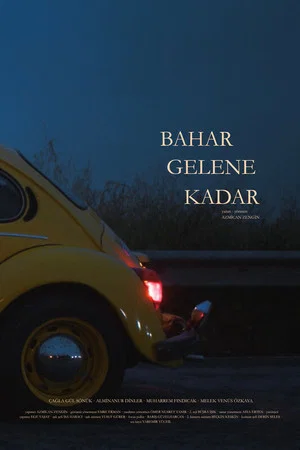 Постер: Bahar Gelene Kadar