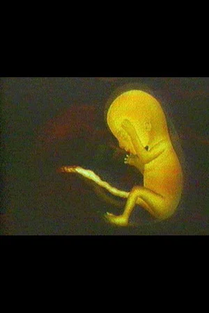 Постер: What is Life?