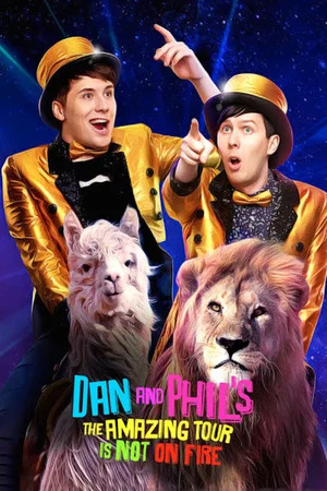 Постер: Dan and Phil's The Amazing Tour is Not on Fire