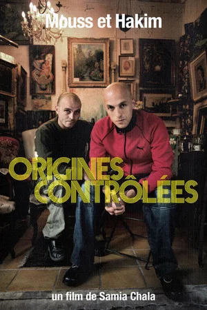 Постер: Mouss et Hakim, controled origins
