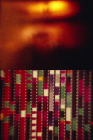 Постер: Sharits/Kassel 2015
