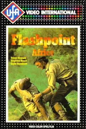 Постер: Flashpoint Africa