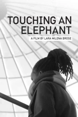 Постер: Touching An Elephant