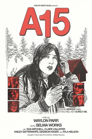 Постер: A15