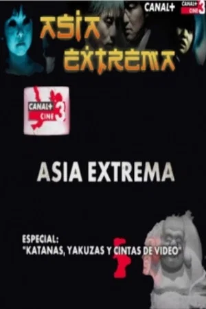 Постер: Katanas, yakuzas y cintas de video
