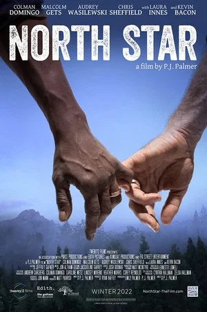 Постер: North Star