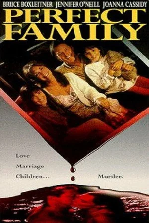 Постер: Perfect Family