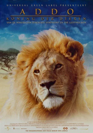 Постер: Addo - The African King
