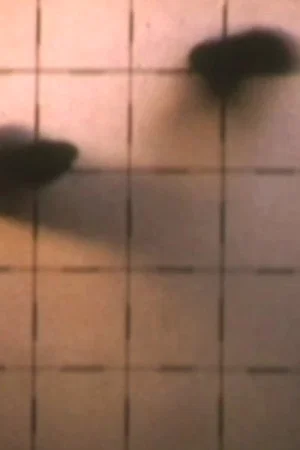 Постер: 2nd Floor Film