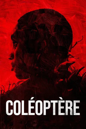 Постер: Coléoptère