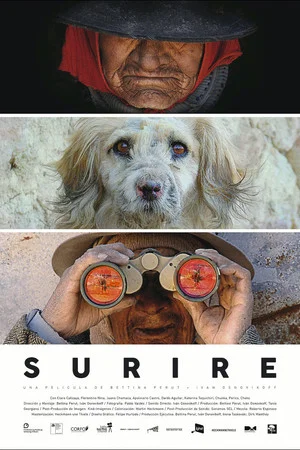 Постер: Surire