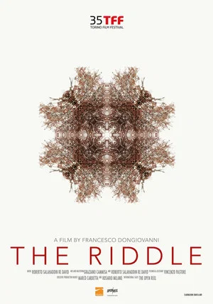 Постер: The Riddle