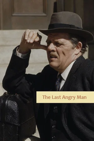 Постер: The Last Angry Man