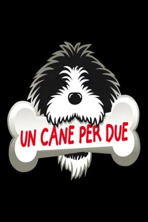 Постер: Un cane per due