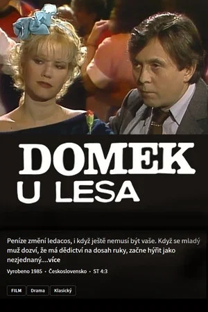 Постер: Domek u lesa