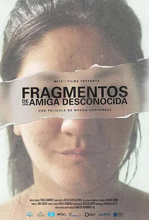 Постер: Fragments of an Unknown Friend