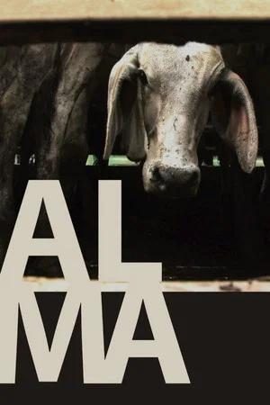 Постер: Alma