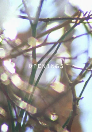 Постер: Openings