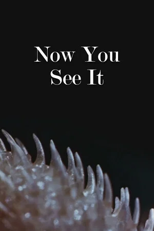 Постер: Now You See It