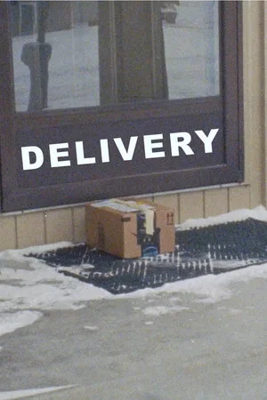 Постер: Delivery