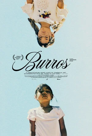 Постер: Burros