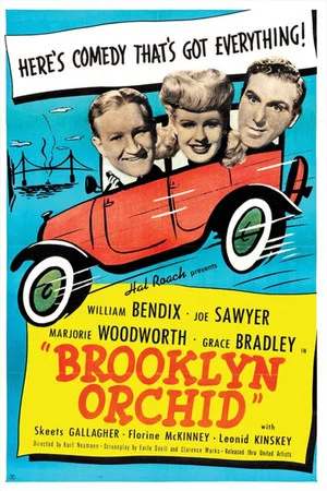 Постер: Brooklyn Orchid