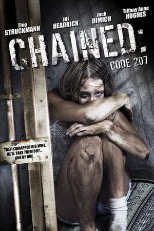 Постер: Code 207
