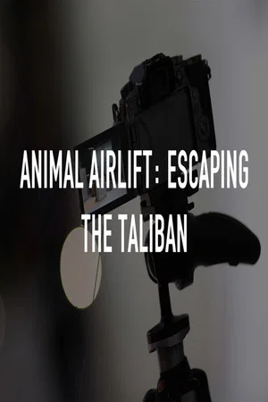 Постер: Animal Airlift: Escaping the Taliban