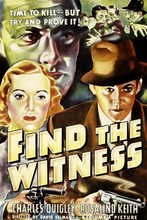 Постер: Find the Witness