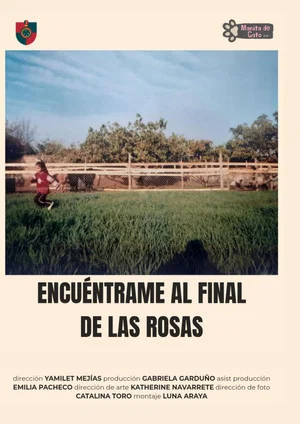 Постер: Encuéntrame al final de las rosas