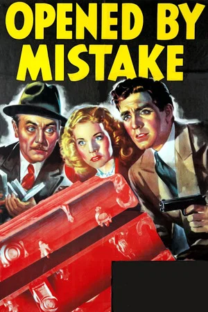 Постер: Opened by Mistake