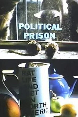 Постер: Rat Life and Diet in North America
