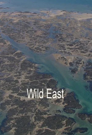 Постер: Wild East