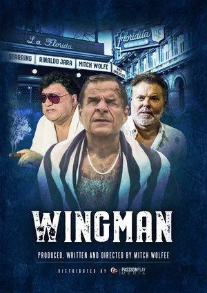 Постер: WingMan