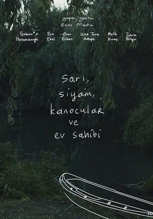 Постер: The Yellow, The Cat, The Kayakers and The Host