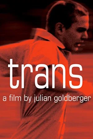 Постер: Trans