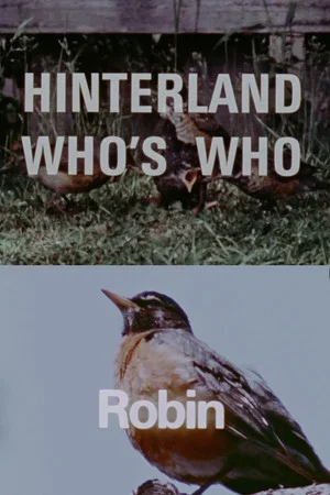 Постер: Hinterland Who's Who: Robin