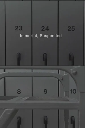 Постер: Immortal, Suspended