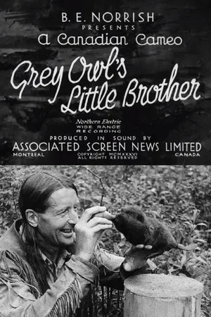 Постер: Grey Owl's Little Brother