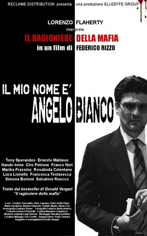 Постер: Il ragioniere della mafia