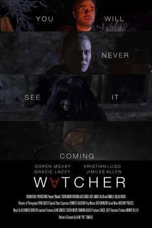 Постер: Watcher