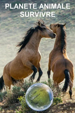 Постер: Planète animale 2 : Survivre