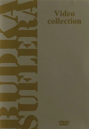 Постер: Budka Suflera: Video Collection