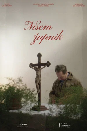Постер: Not Ordained